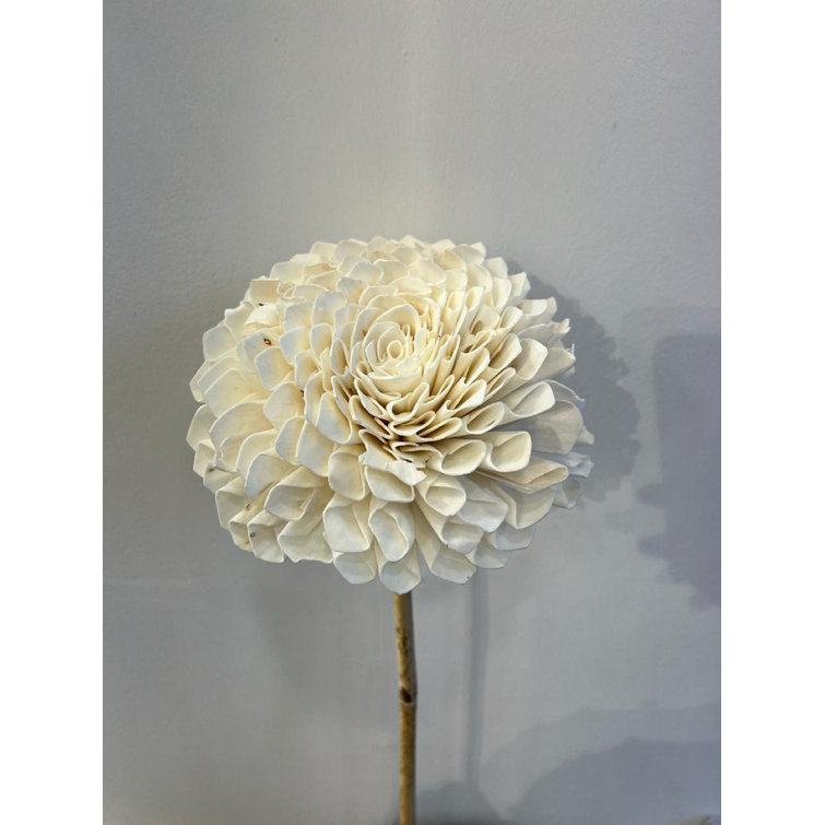 Primrue Dahlia Arrangement | Wayfair